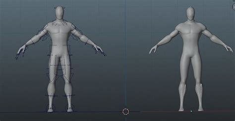 Rigged Male Body 3D model rigged | CGTrader