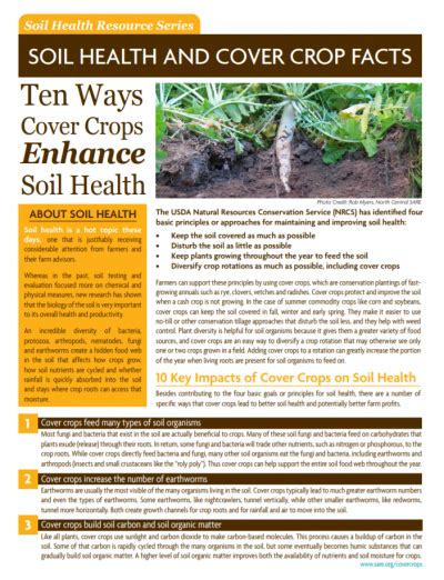 Ten Ways Cover Crops Enhance Soil Health Thomas Jefferson Soil And