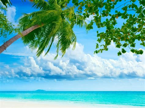 Widescreen Tropical Desktop Wallpapers Top Free Widescreen Tropical