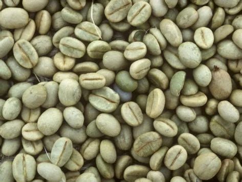 Gusto Crema Coffee Beans at best price in Tiruppur by Srisathya Traders ...