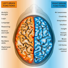 Psychology For Us Τα Εγκεφαλικά Ημισφαίρια Δύο διαφορετικοί τρόποι