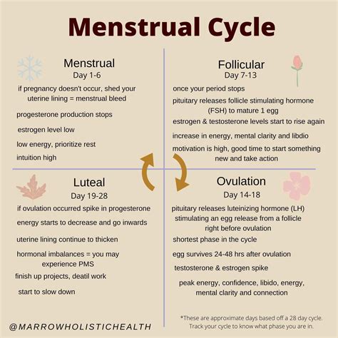 C Y C L E S Y N C I N G ⠀⠀ Weve Completed Each Of The 4 Phases Of The