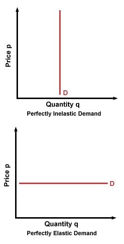 SparkNotes: Elasticity: Elasticity