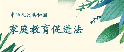 《家庭教育促进法》告诉你这些育儿方法（二）共同参与，发挥父母双方的作用 知乎