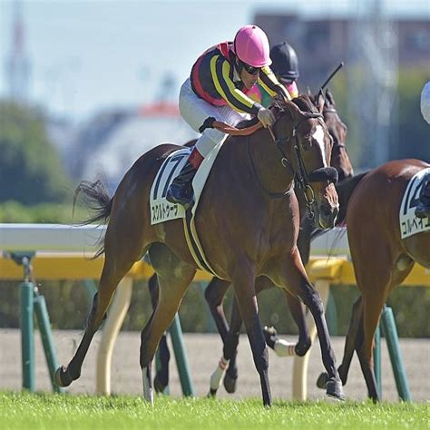 【東京4r新馬戦結果】ロードカナロア産駒スクルトゥーラが差し切って快勝 2021年10月23日掲載 ライブドアニュース