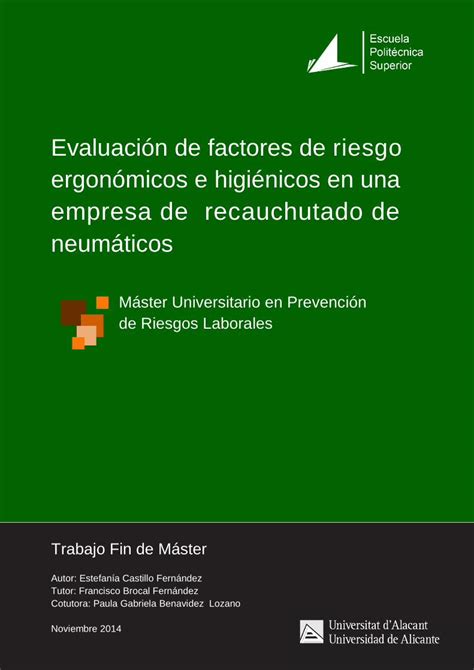 PDF Evaluación de factores de riesgo ergonómicos e esquema Área