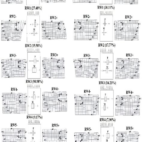 Summary Of Landmark Based Geometric Morphometric Analysis Showing The