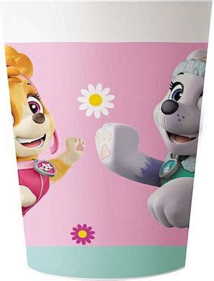 Procos Ποτήρι Paw Patrol Skye Everest 92882 2τμχ Skroutz gr