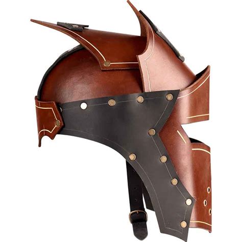 Paladins Helm