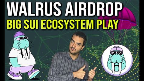 Walrus Airdrop Developed By The Sui Team Very Early Crypto