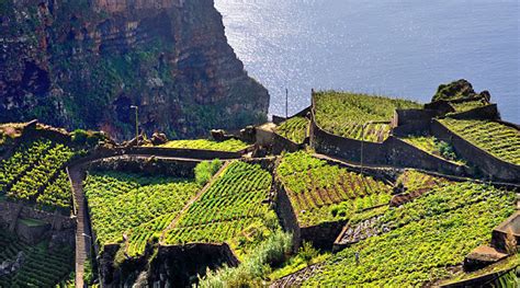 Taste Portuguese Wines and Visit its Wine Regions