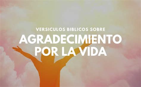 20 Versículos Bíblicos de Agradecimiento por la Vida