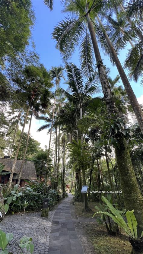 Mason Elephant Lodge Konservasi Gajah Sumatra Yang Menarik Hati