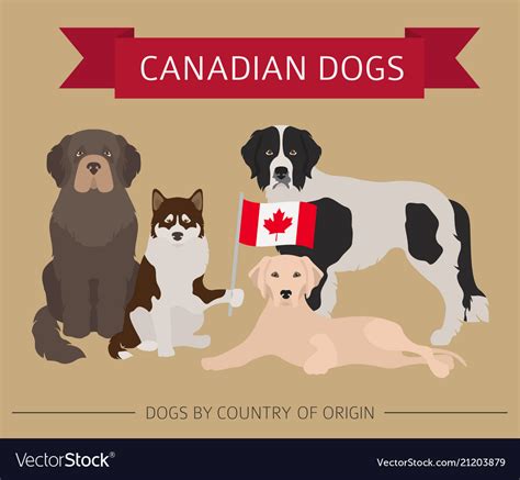 Dogs by country of origin canadian breeds Vector Image