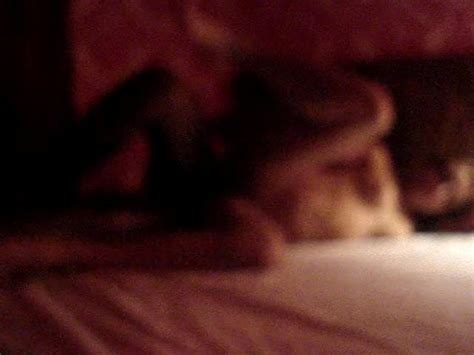 Festinha Na Quarentena Free Porn Video C Xhamster