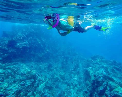 Molokini Snorkeling: What Is The Best Molokini Snorkel Tour For ...