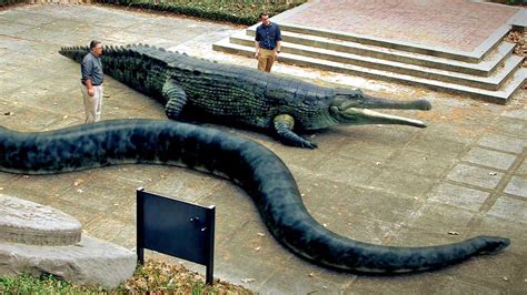 TITANOBOA vs SARCOSUCHUS : r/snakes