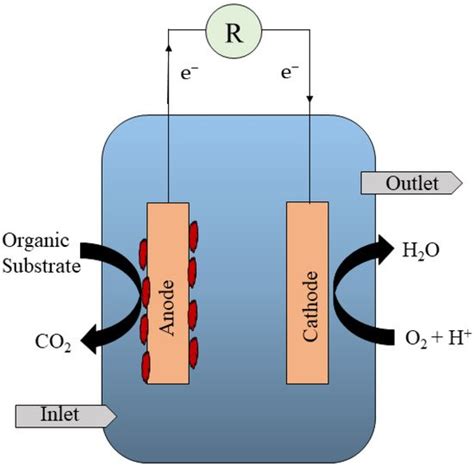 Integrated Microbial Fuel Cell System Encyclopedia Mdpi