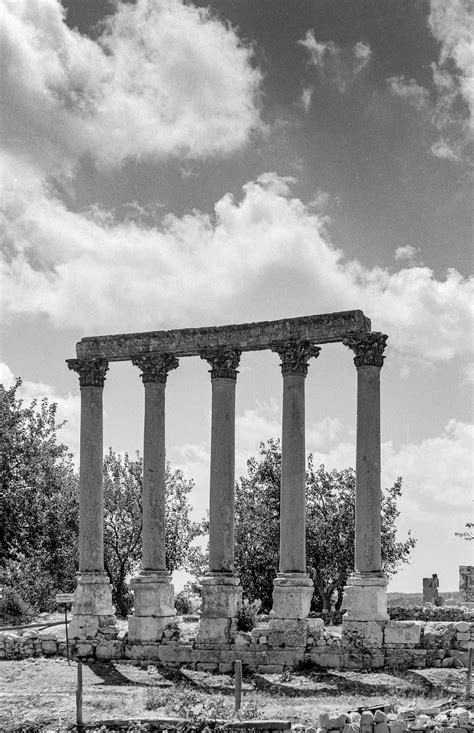 Scanning Negatives And Prints Should Be Carefully Planned Kept Light