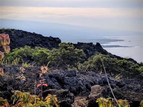 Hiking Captain Cook Monument Trail, Hawaii - Laura Hofford