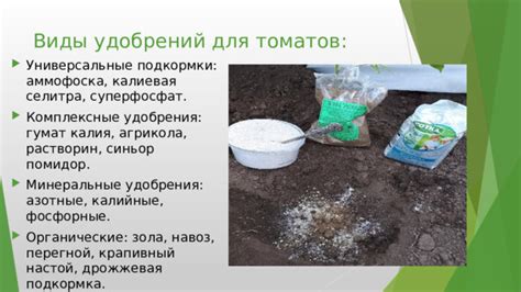 Презентация "Выращивание томатов в теплице"