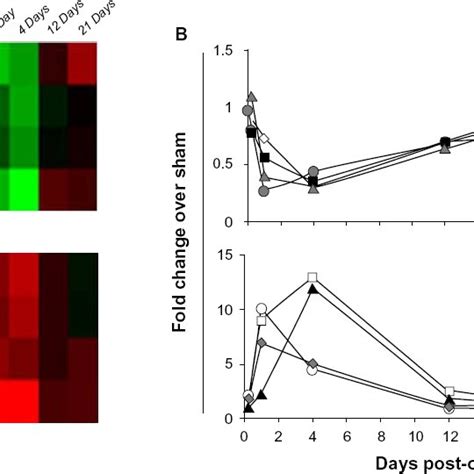 Comparison Of Gene Expression Profiles By Microarray And Qpcr Analysis Download Scientific