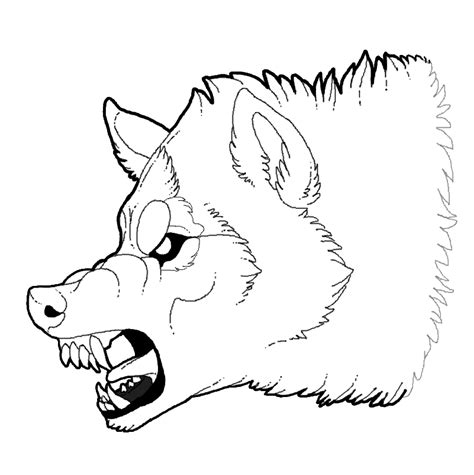 Wolf Anatomy Drawing | Free download on ClipArtMag