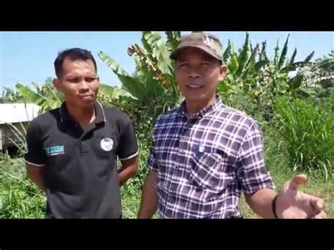 Survei Lokasi Desa Wisata Kota Pari Kecamatan Pantai Cermin Youtube