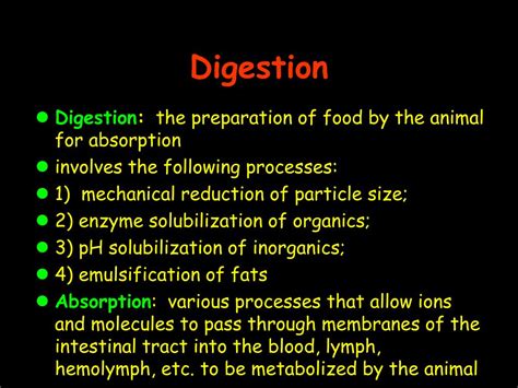 PPT Digestion And Nutrient Metabolism PowerPoint Presentation Free