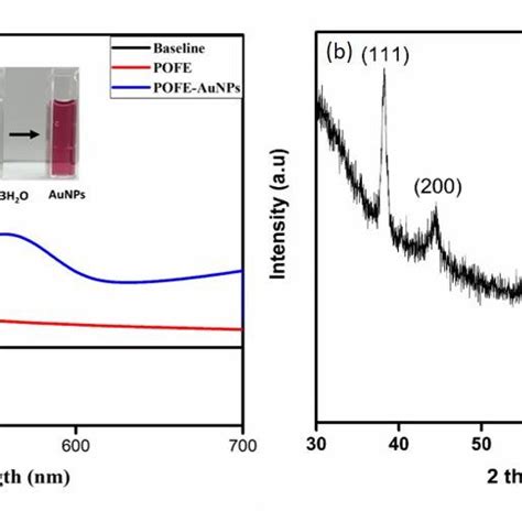 A Uv Vis Spectrum Of Aunps Synthesized Using Pofe And B