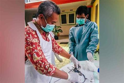 Antisipasi Leptospirosis Dinkes Tulungagung Ambil Sampel Ginjal Tikus