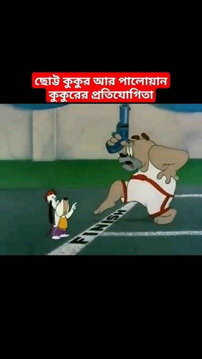 ছোট্ট কুকুর আর পালোয়ান কুকুরের প্রতিযোগিতা Funny Cartoon Video 🤣🤣