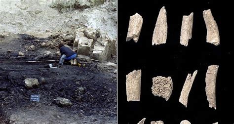 Bronze Age Funeral Pyre Where Hundreds Were Cremated Found In Italy