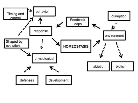 PPT AP Biology Unit Four Maintaining Homeostasis PowerPoint