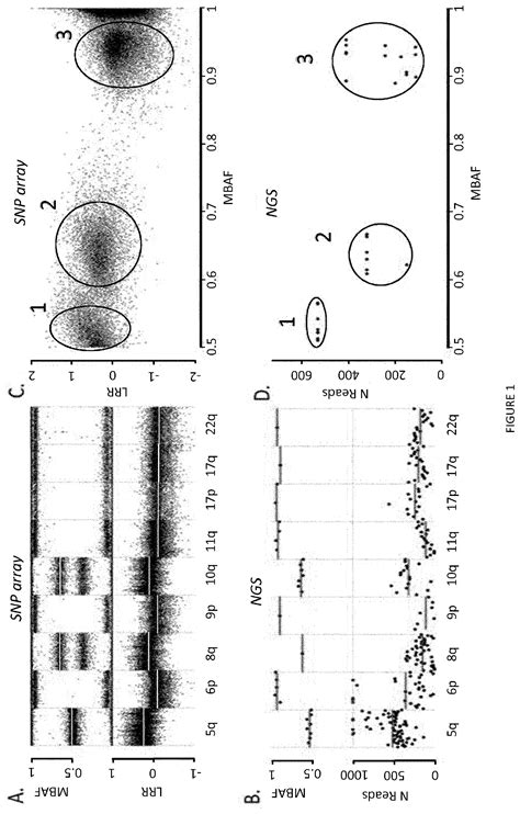 Method For Molecular Typing Of Tumors In A Single Targeted Next