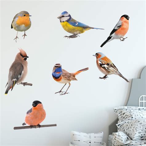 Muurstickers Vogels Kleurrijke Set Vogels Stickers 13 95 Gratis Verzending