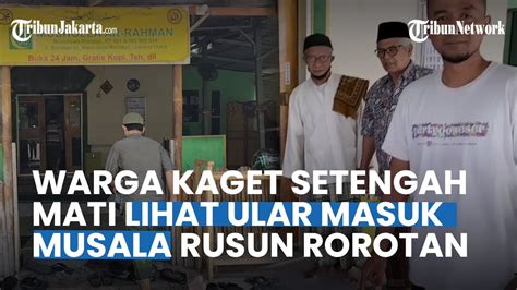 Bikin Merinding Mau Salat Jemaah Malah Lihat Ular Masuk Musala Rusun