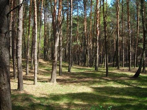 THE BEST Krasnoturansk Hotel Deals (May 2025) - Tripadvisor