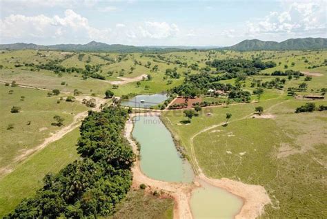 Tima Fazenda A Venda De Alqueires Hectares Em Padre