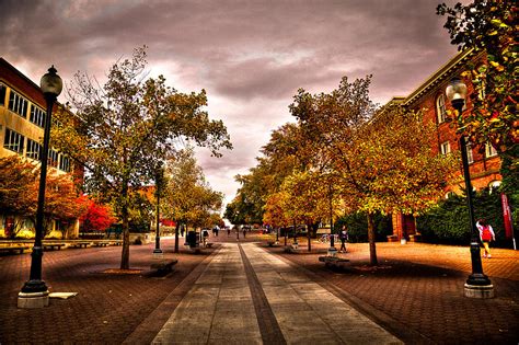 Terrell Mall on the Washington State Campus Photograph by David ...