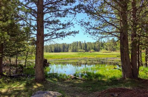 Exploring Mono Lake - 395 Road Trip