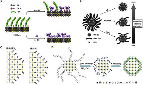 PbS Colloidal Quantum Dot Inks For Infrared Solar Cells IScience