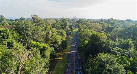 Meia Maratona Das Cataratas Evento Neutro Em Carbono