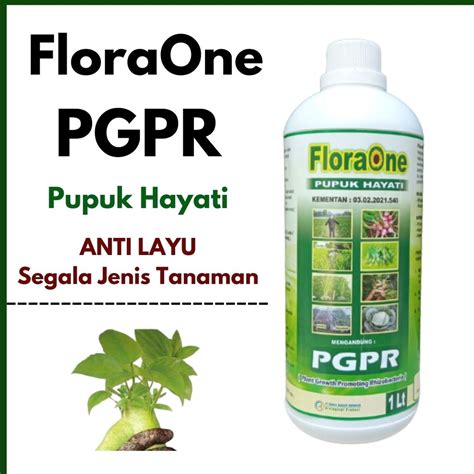 Jual Pupuk Hayati Cair Pupuk Agar Cepat Tumbuh Berkualitas Floraone Pupuk Pgpr Anti Layu