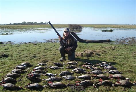 Argentina dove hunting photos