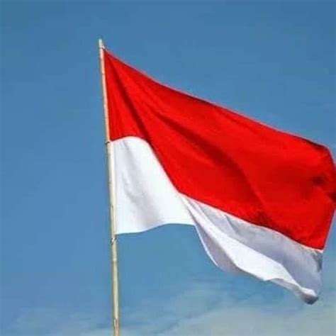 Promo Bendera Merah Putih 90 X 135 Bahan Satin Diskon 23 Di Seller