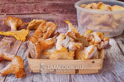 Заморозка лисичек — рецепт с фото пошагово. Как заморозить лисички на зиму?