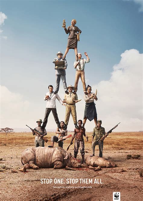 WWF Launches Compelling Campaign to Stop Crimes Against Wildlife ...