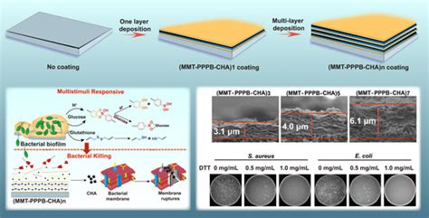 JFB Free Full Text Multi Stimulus Responsive Multilayer Coating For