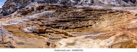 Beautiful Scenery Mammoth Hot Spring Yellowstone Stock Photo Shutterstock